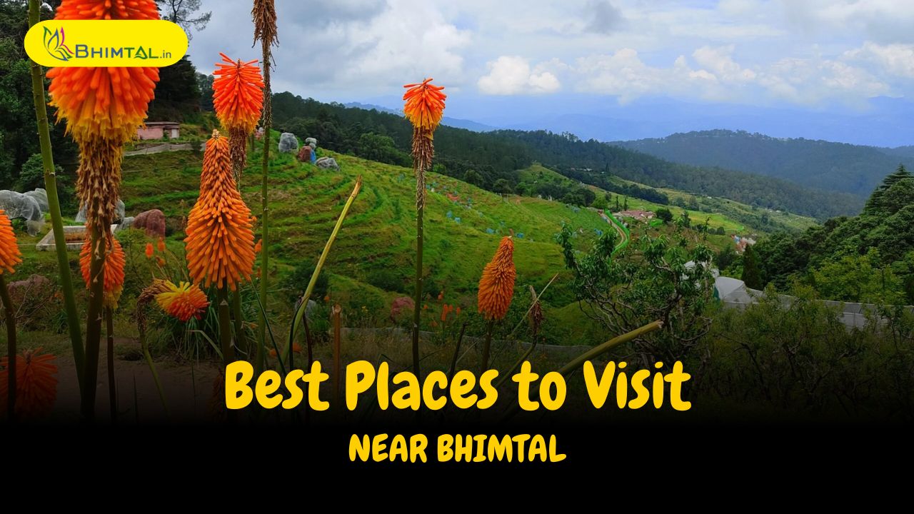 Best Places Near Bhimtal