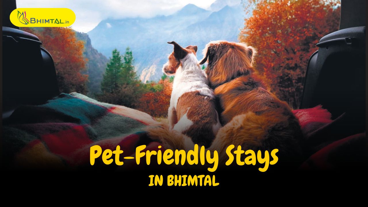 pet friendly stay bhimtal