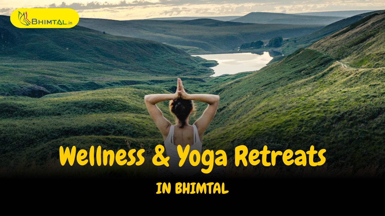Yoga and wellness retreat Bhimtal